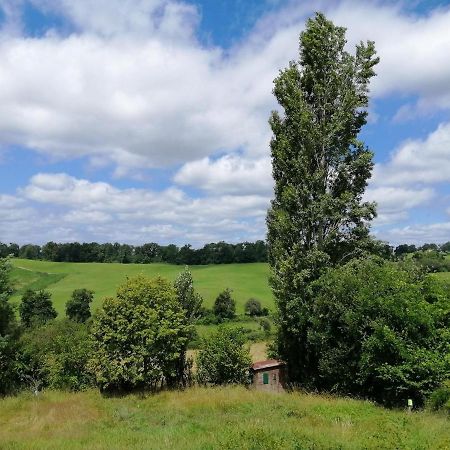 Le Gite Des Colories Salies-de-Béarn Exterior foto
